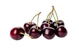 Cherries on stems, dark red to purple with glossy skin in a small bunch.