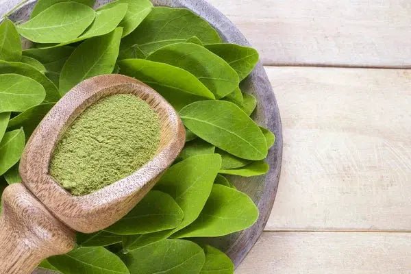 Spa Day Any Day Natural Bath & Body Gift Set with green powder in a wooden scoop atop green leaves